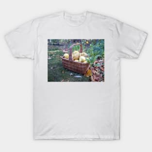 Quinces in the basket T-Shirt